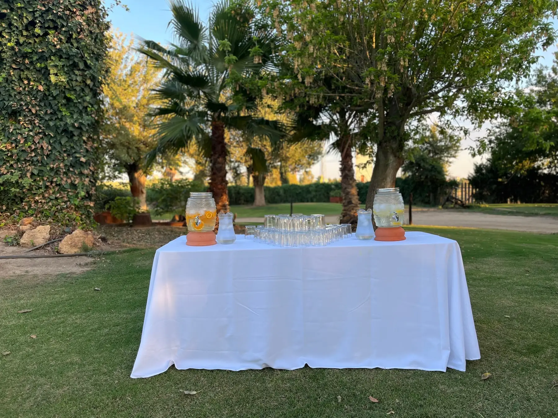 Una mesa con mantel blanco y dos garrafas de bebida bajo las palmeras y los árboles del jardín